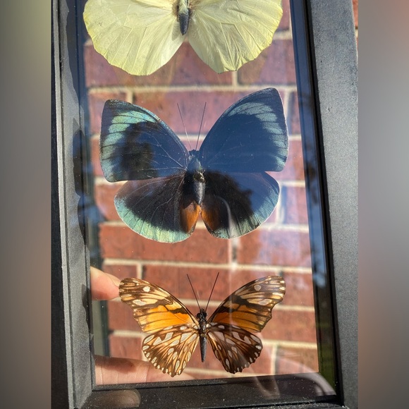 5 Butterflies Wall Hanging - Picture 10 of 10